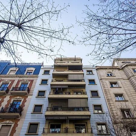 Apartment C211